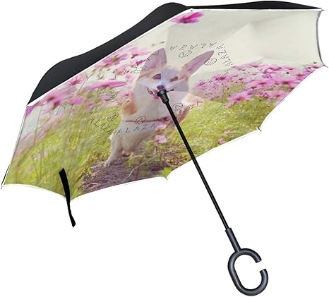 Amazon Co Jp Kaaridream 逆さ傘 長傘 逆折り式傘 手離れc型手元 日傘 晴雨兼用 Uvカット レディース メンズ 車用 ーギー いぬ 犬柄 アニマル 花柄 かわいい 可愛い 雨傘 自立傘 ゴルフ用傘 紳士傘 耐風 遮光断熱 大きめ 軽量 ホーム キッチン