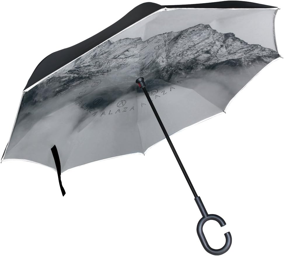 best big rain umbrella