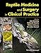 Reptile Medicine and Surgery in Clinical Practice by Bob Doneley, Deborah Monks