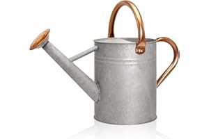 Ausluru Metal Watering Can with Removable Spout, Galvanized Watering Can, Perfect for Indoor Use and for Outdoor Use (1 Gallaon, Zinc)