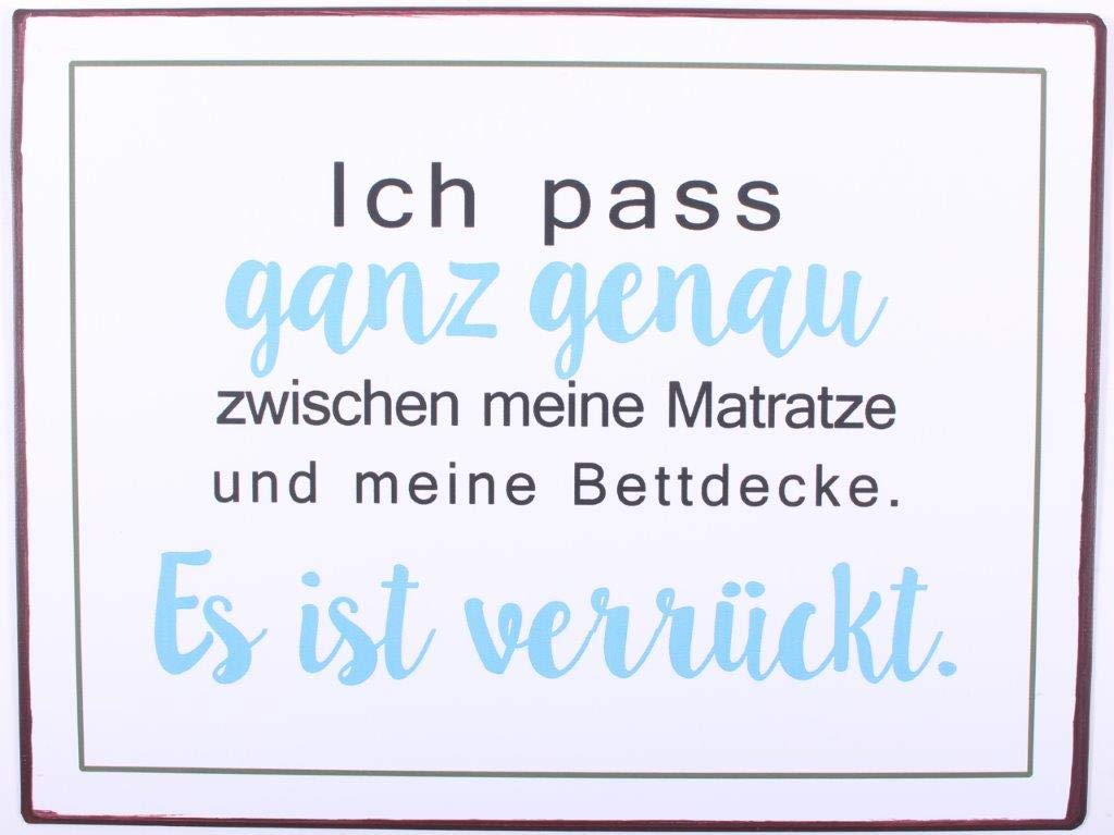 Decorative Hanging Painted Metal Wall Plaque/Sign " Ich pass ganz genau…