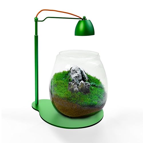 FZONE Terrarium with Light - Moss Micro Landscape Terrarium Set with Full Spectrum LED Freshwater Light, Timer & Adjustable Intensity, Ideal for Home Office Tabletop Deco