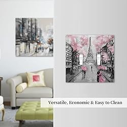 Paris Street Eiffel Tower Pink Floral 2 Gang Light
