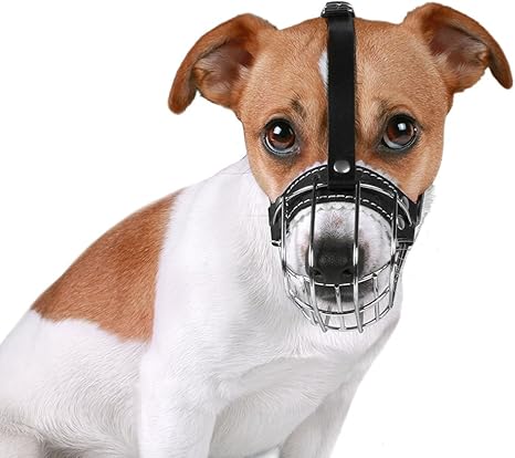 Amazon Com Bronzedog Wire Basket Dog Muzzle Jack Russell Terrier