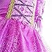 SweetNicole Princess Rapunzel Purple Princess Party Costume Dress with Accessories (6-7)