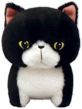 munchkin cat black and white