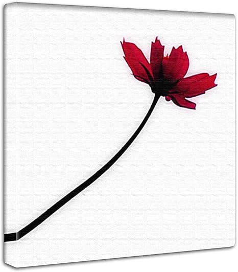 Amazon Co Jp 花 植物 アートパネル 30cm 30cm 日本製 ポスター おしゃれ インテリア 模様替え リビング 内装 シンプル 自然 風景 ファブリックパネル Pho 0053 ホーム キッチン