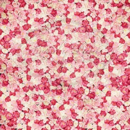 Swanky Prints GY-V39B-6NQF 4' x 4' Bed of Roses Multi Colored Vinyl Photography Backdrop