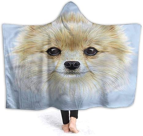 Wearable dog blanket Clearance