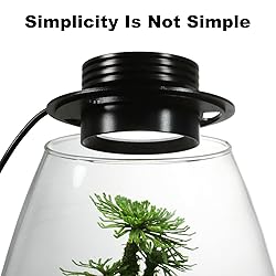 Desktop Glass Terrarium with Grow Light