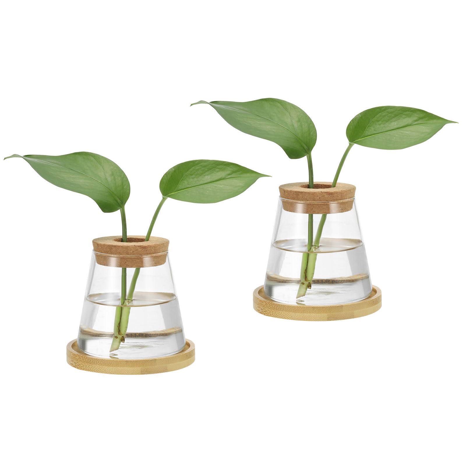 PATIKIL Plant Propagation Station Glass Vases, 2 Pcs Desktop Trapezoid Planter Terrarium Vase with Wooden Tray & Lid for Hydroponic Office Home Decor Plants Indoor, Brown