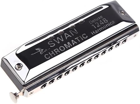 Harmonika Mundharmonika Swan Chromatische Harmonika Mundharmonika 12 Loecher Mit 48 Ton Tasten Von C Blattblasinstrument Blasinstrument Mit Gehaeuse Silber Amazon De Musikinstrumente