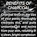 Natural Charcoal Peel Off Face Mask - Activated Charcoal - Blackhead Remover Mask & Pore Minimizer - Deep Cleansing Black Mask - Anti Aging & Acne Spot Treatment (3.4 oz)