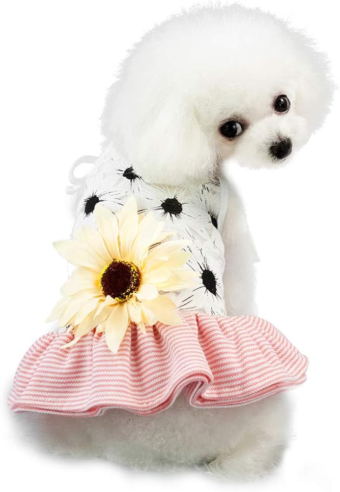 small dog dresses cheap