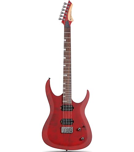 Amazon.com: Leo Jaymz Electric Guitar Monsoon Deluxe Series