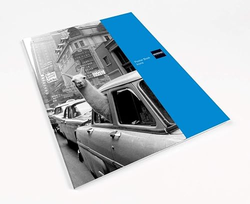 Download Magnum photos: poster book (icons) PDF