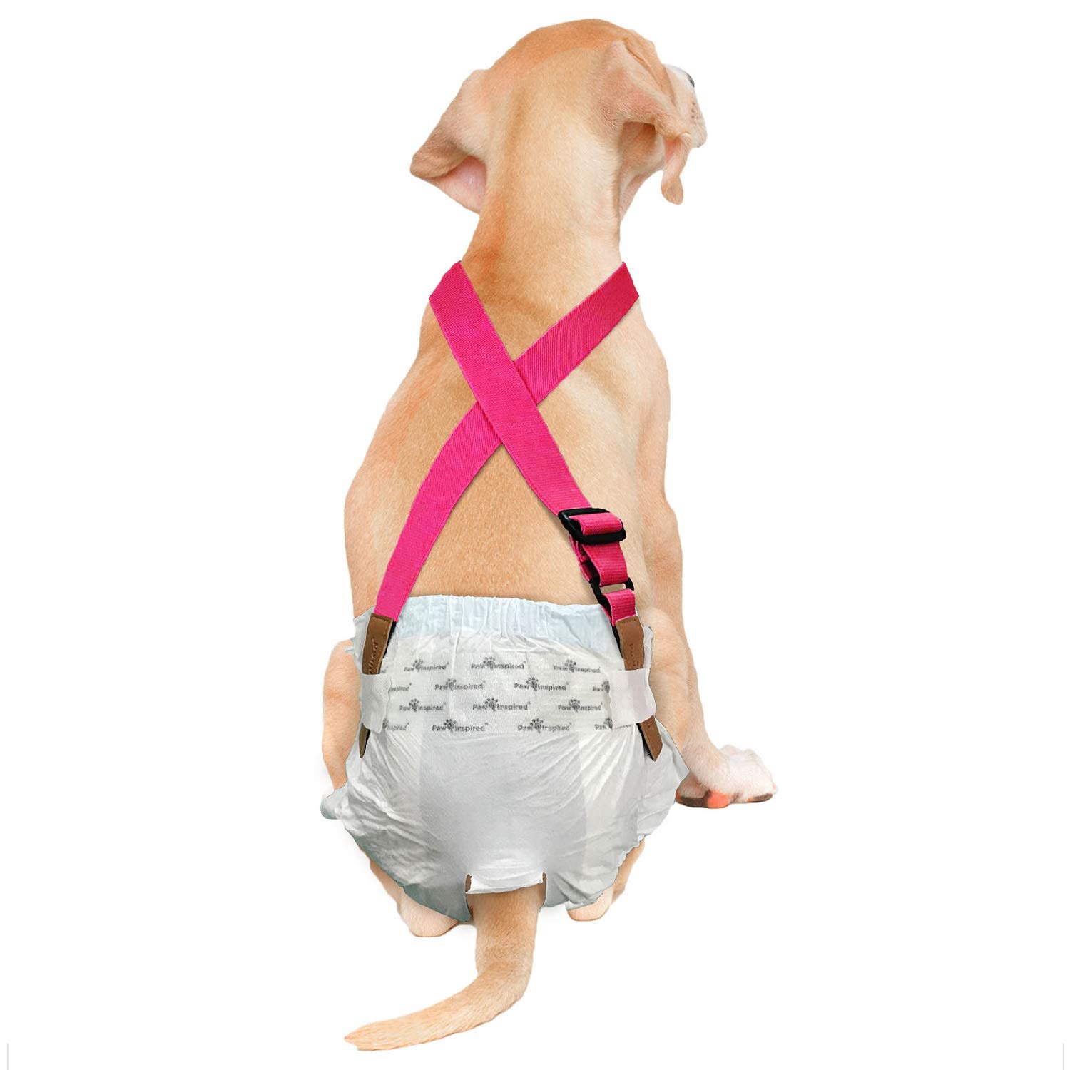 Paw Inspired Dog Diaper Suspenders | Dog Suspenders, Canine Suspenders | Dog Diaper Harness (M/L, Pink)