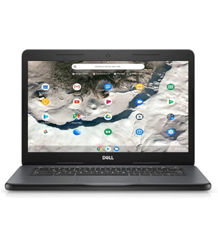 Amazon.com: ASUS C423NA Chromebook 14