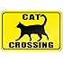 Amazon.com: Cat Crossing Sign Novelty Gift Animals Kitten: Office Products