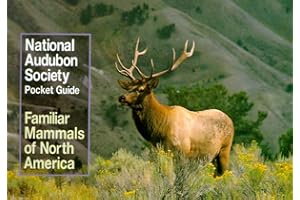 National Audubon Society Pocket Guide to Familiar Mammals