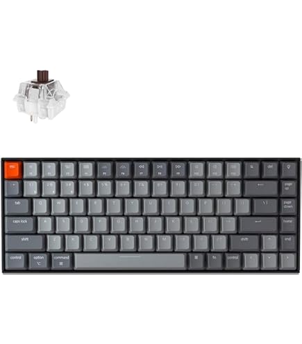 Amazon.com: Keychron Q4 Wired Custom Mechanical Keyboard, 60