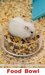 Extra Large 23" Multi-Tiers Easy Setup Hamster