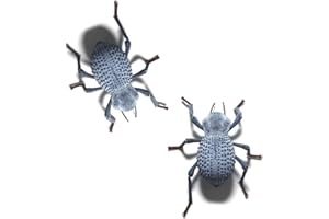 SURMEN LEGACY Blue Death Feigning Beetle (Group of 2) - Fun and Easy to Care for - Live Ironclad Beetle! - BDFB - Asbolus Verrucosus