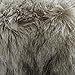 Bernat Faux Fur Pom Pom, 3 in., Grey Lynx