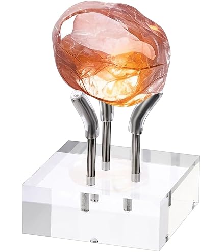 Plymor Clear Acrylic Display Bases - 12 Pack Rectangular Stands With Prongs For Minerals