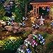 Solar Garden Decorations Outdoor - 2 Pack Erhard Solar Powered Garden Stake Lights with 8 Lily Flower, Multi-Color Changing LED Solar Stake Lights for Garden,Patio,Backyard(Purple and White)