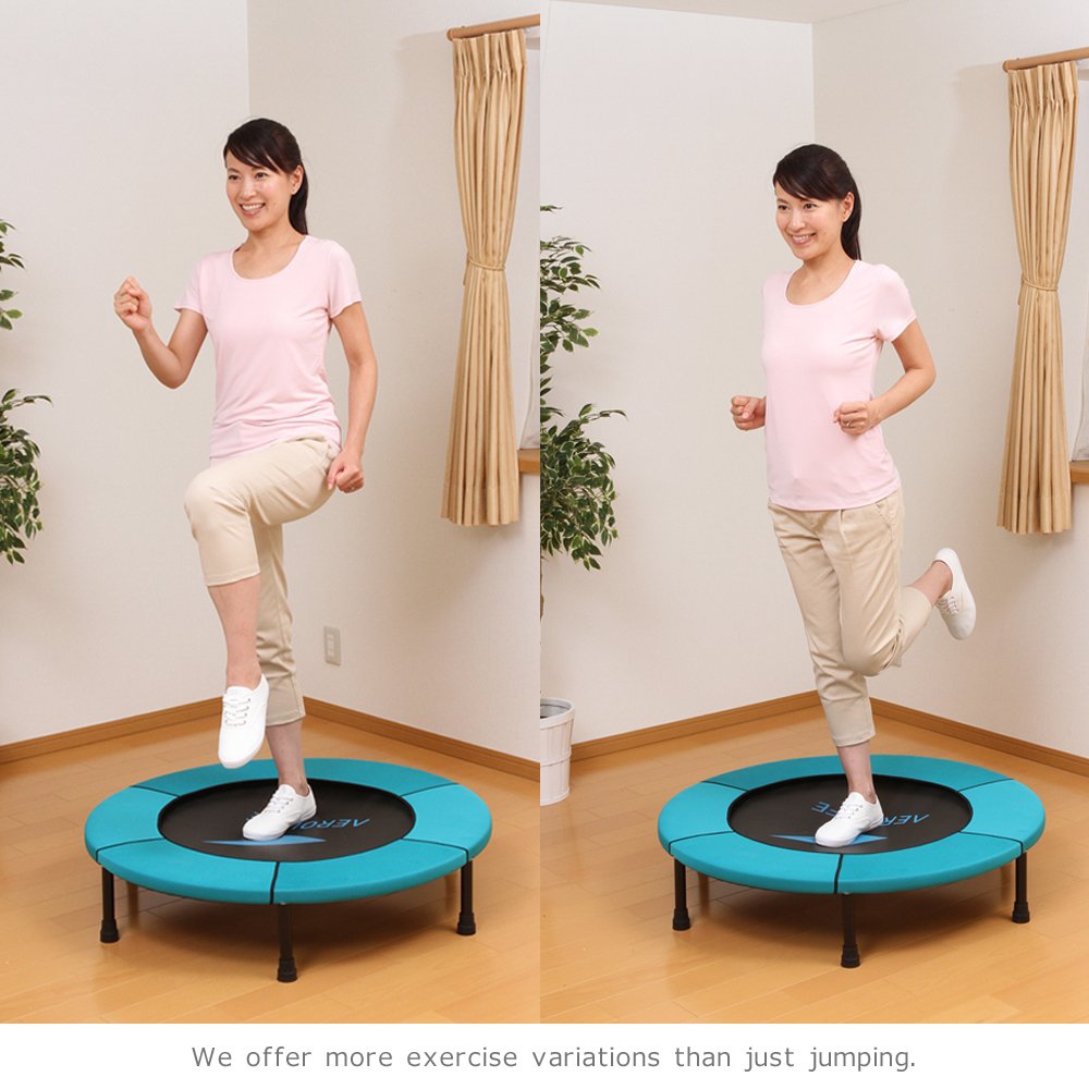 Fitness Trampoline In Home Rebounder Safe Secure Long Seller For Quality Durability By Japanese Standard Exercise Manual Incl Aerolife Home Jumping Dr 6600 Cancer Org In Fitness Trampoline In Home Rebounder Safe Secure Long Seller For Quality Durability By Japanese Standard Exercise Manual Incl Aerolife Home Jumping Dr 6600 Cancer Org In