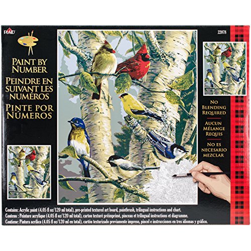 Bird Paint by Number Kits Kritters in the Mailbox Bird Paint by Number