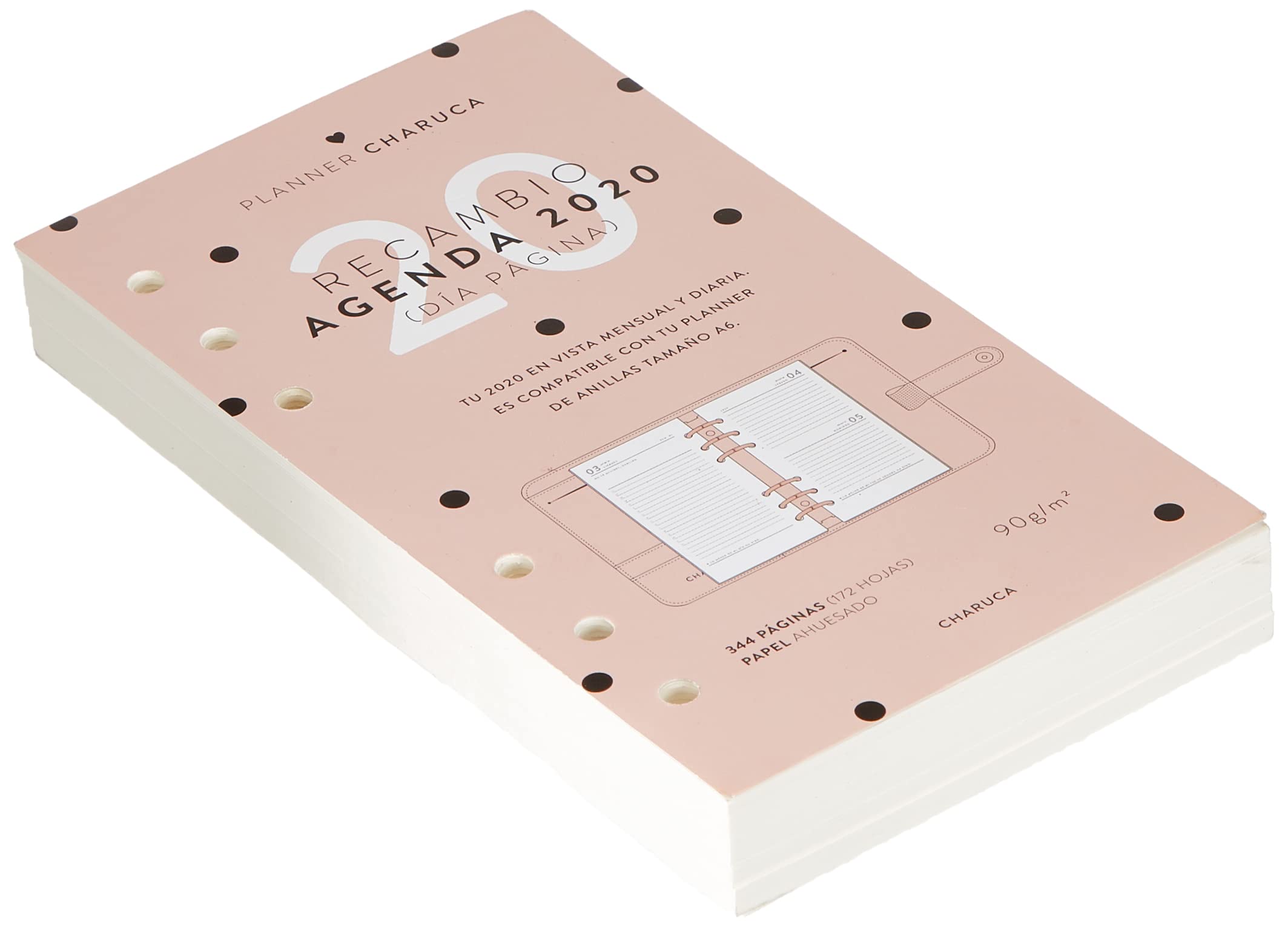 Charuca Agenda 2020, Daily View, A6