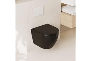 DEER VALLEY DeerValley In-Wall Toilet Combo Set and Carrier System, Wall Hung Toilet with Tank, Wall Mounted Toilet with Soft Closing Seat, 1.1GPF/1.6 GPF Dual Flush, Black (2 Packages Separately)