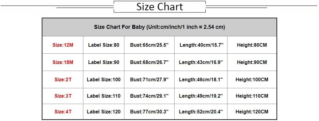 ZLOLIA Baby Clothes Autumn Winter Kids Girls Solid Lantern Sleeve Shirt Tops Loose Outfits (100, Wine): Home & Kitchen