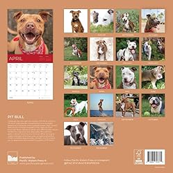 July 2025- December 2026 Pit Bulls Wall Calendar 18
