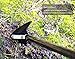 ORIENTOOLS Warren Hoe Winged Weeder 3 Section Handle with Large Blade, Black, 57-inch