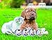 Jmxu’s Flea & Tick Prevention for Dogs and Cats, Flea and Tick collar for Dogs and Cats, One Size Fits ALL! 25 inch, ALLERGY FREE, 8 MONTH PROTECTION