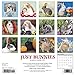 Just Bunnies 2019 Wall Calendar