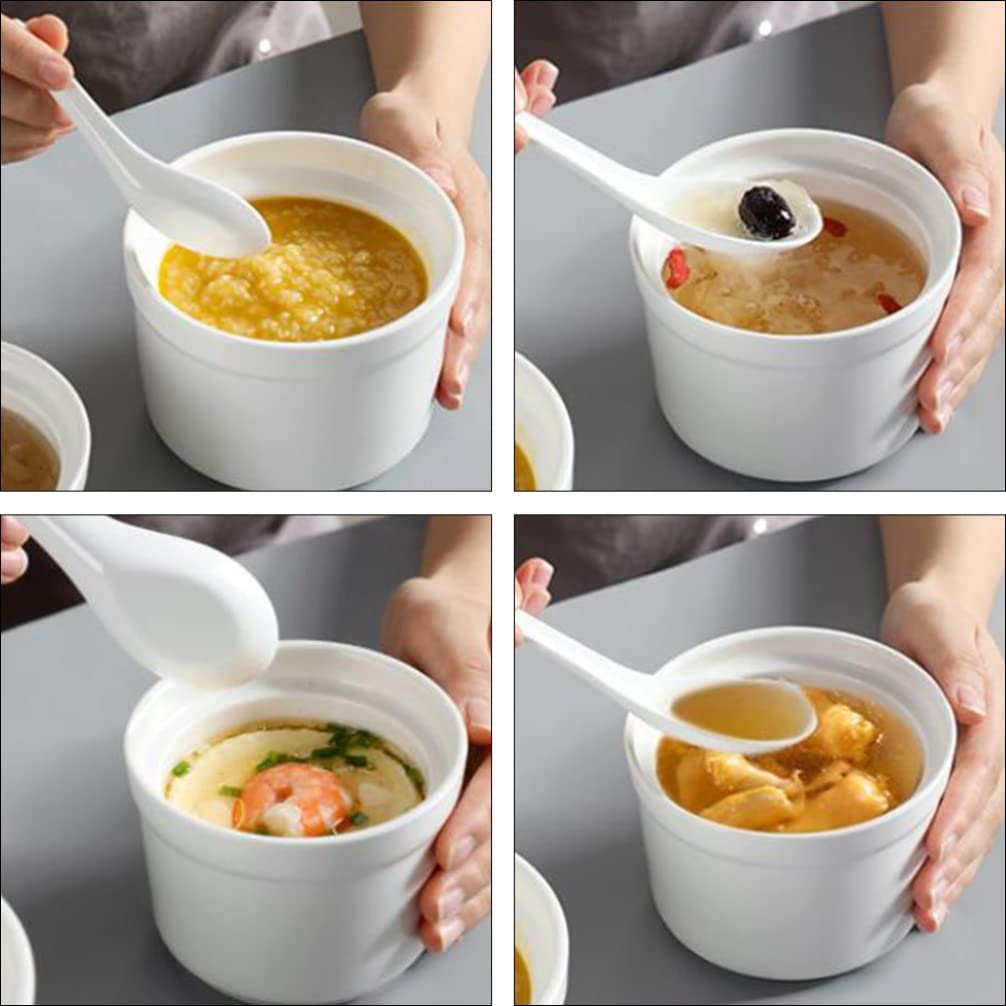 Ceramic Stew Pot with Lid Steam Soup Bowl Steaming Cup Stockpot Cooking Earthen Casserole Pot for Home Kitchen Egg Custard Medicinal Birds Nest 580ml