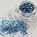 SaiDeng 12 Colors/Set 2g Holographic Laser Powder Nail Art Glitter Rainbow Pigment Manicure Chrome Pigments (1pcs)