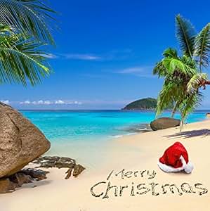 Amazon.com : OFILA Tropical Beach Christmas Backdrop 5x5ft