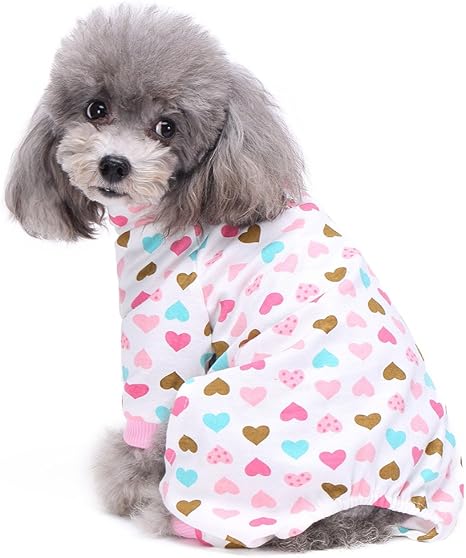 wiener dog pajamas