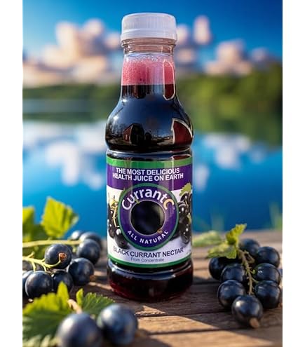 Amazon.com : 100% All Natural Black Currant Nectar 16 oz