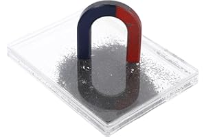 Kichvoe Magnetic Iron Powder for Physics Experiments Teaching Instrument with Iron Filing Case for Classroom