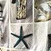 LifEast Sea World Fabric Shower Curtain Seashell and Sandy Beach (180180, Sea Stars)