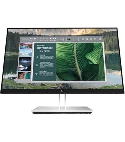 Amazon.com: HP E24u G4 FHD USB-C Monitor br>23.8
