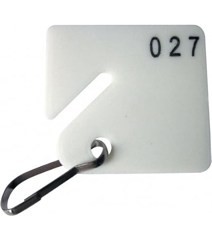 Amazon.com: Key Tag Numbered 101 to 200, PK100 : Office Products