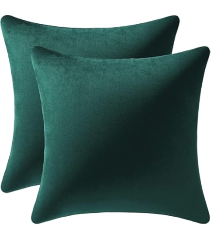 FEVERQIYI - Juego De 2 Fundas De Almohada De Terciopelo Negro De 20 X 20 Pulgadas, Fundas De Almohada Cuadradas Decorativas Suaves Y Sólidas Para Dormitorio, Sala De Estar, Decoración Interior Y