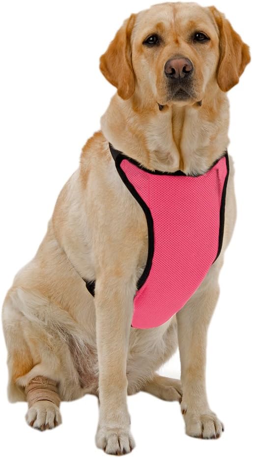 Warming/Cooling Dog Harness with Gel Pack XXSmall Pink Pet Supplies